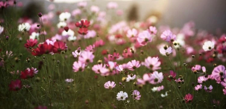 가을 맞네.jpeg