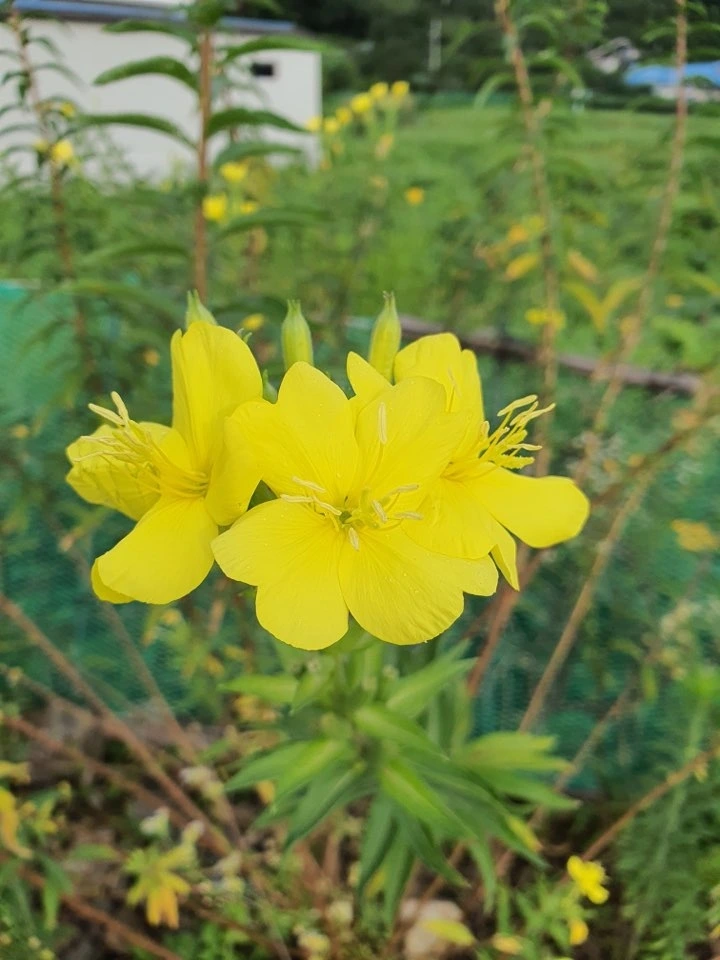 난 널 믿어.jpeg