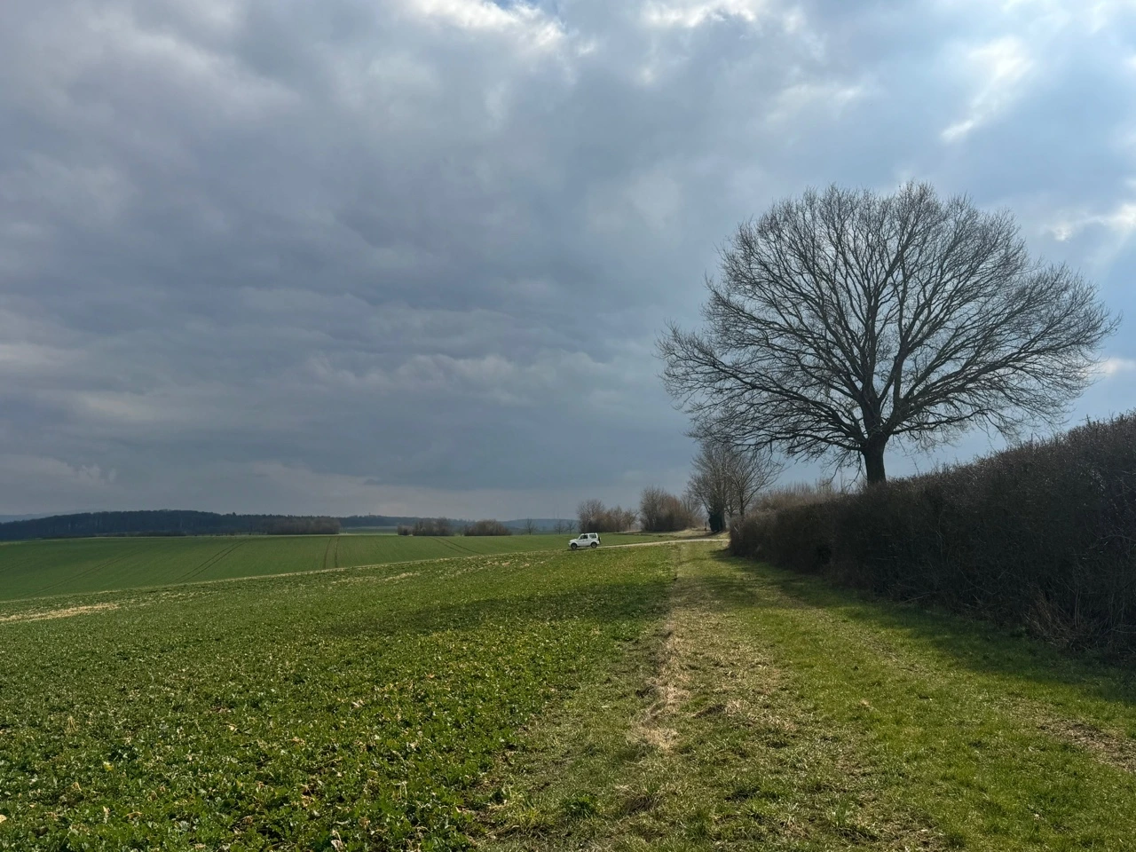 KakaoTalk_Photo_2025-03-18-00-10-52 002.jpeg