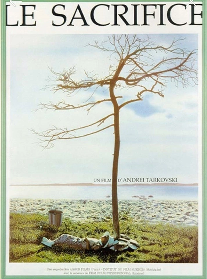 영화 희생2.jpeg