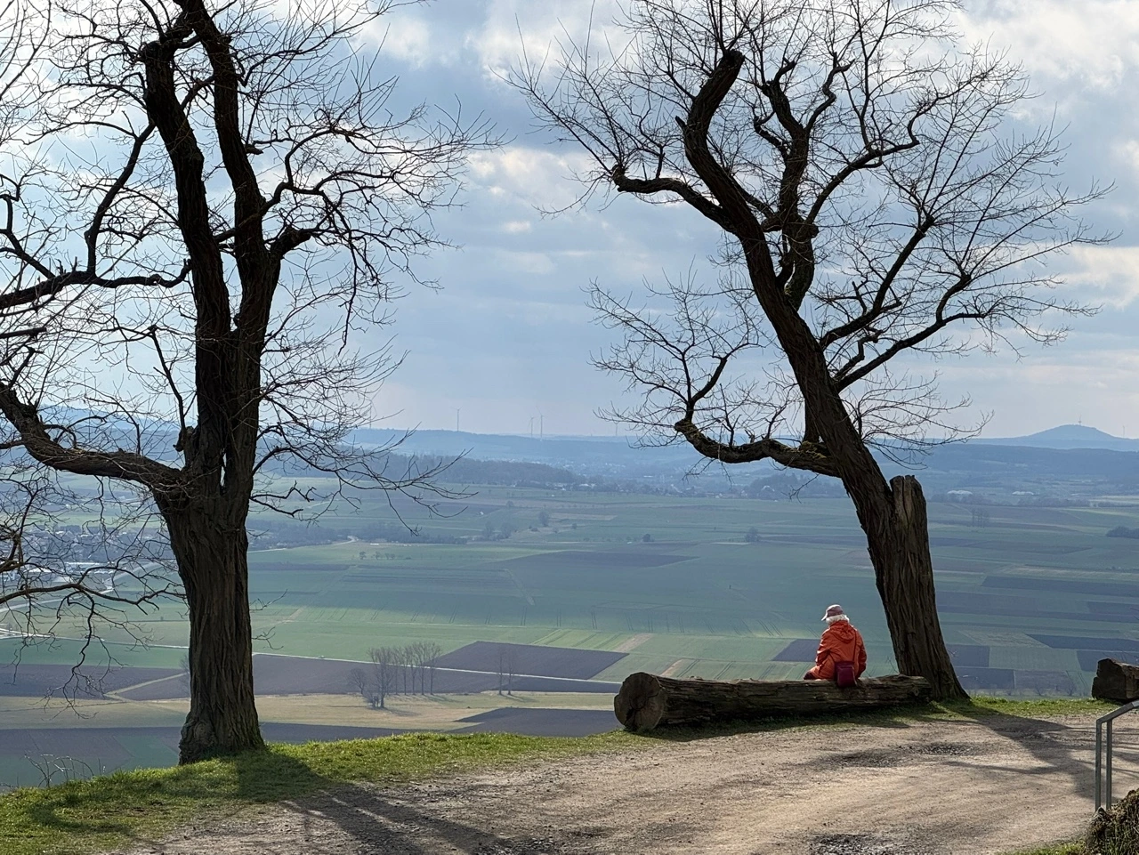 KakaoTalk_Photo_2025-03-13-00-03-12 005.jpeg