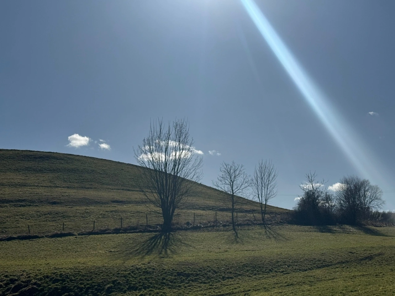 KakaoTalk_Photo_2025-02-24-10-43-38 005.jpeg