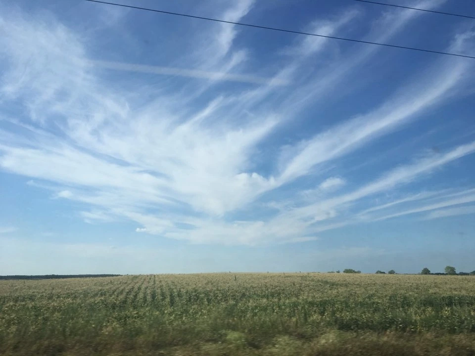 인간은 노력하는 한 방황한다.jpeg