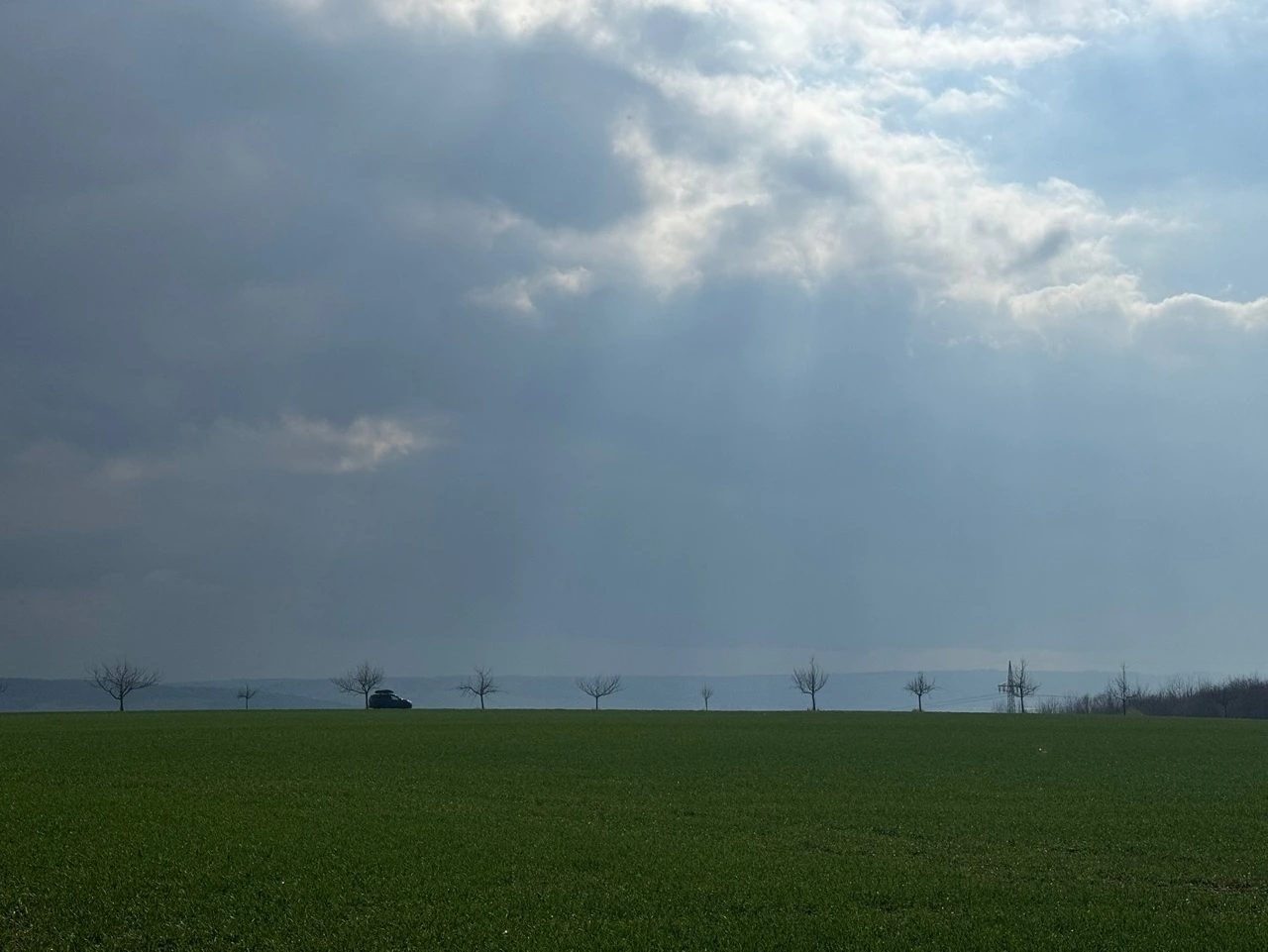 KakaoTalk_Photo_2025-03-18-00-10-12 002.jpeg