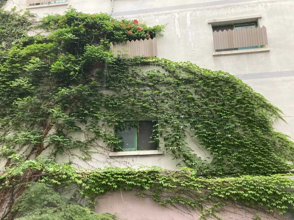 비에 젖는다는 것.jpeg