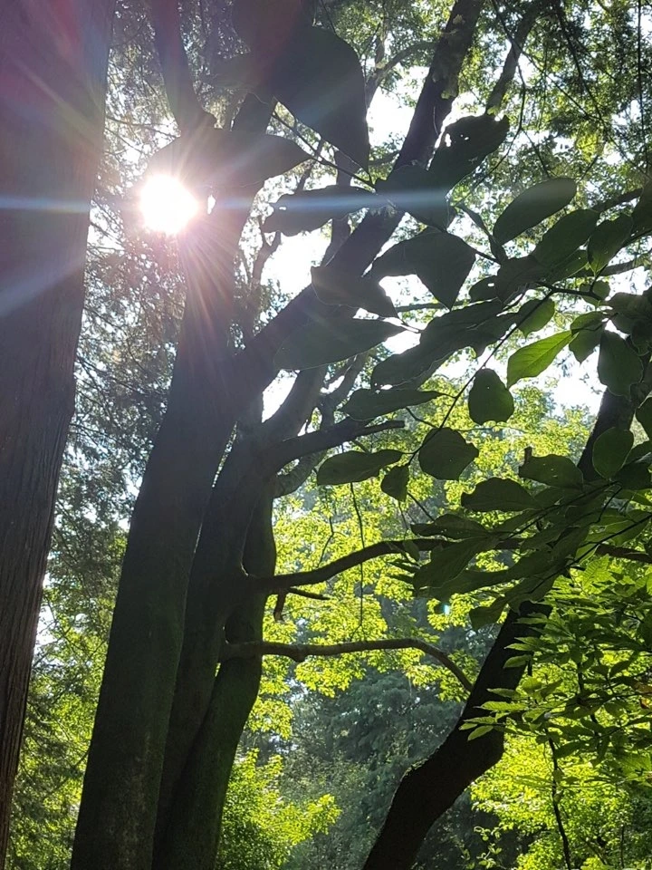 내가 원하는 우리나라.jpeg