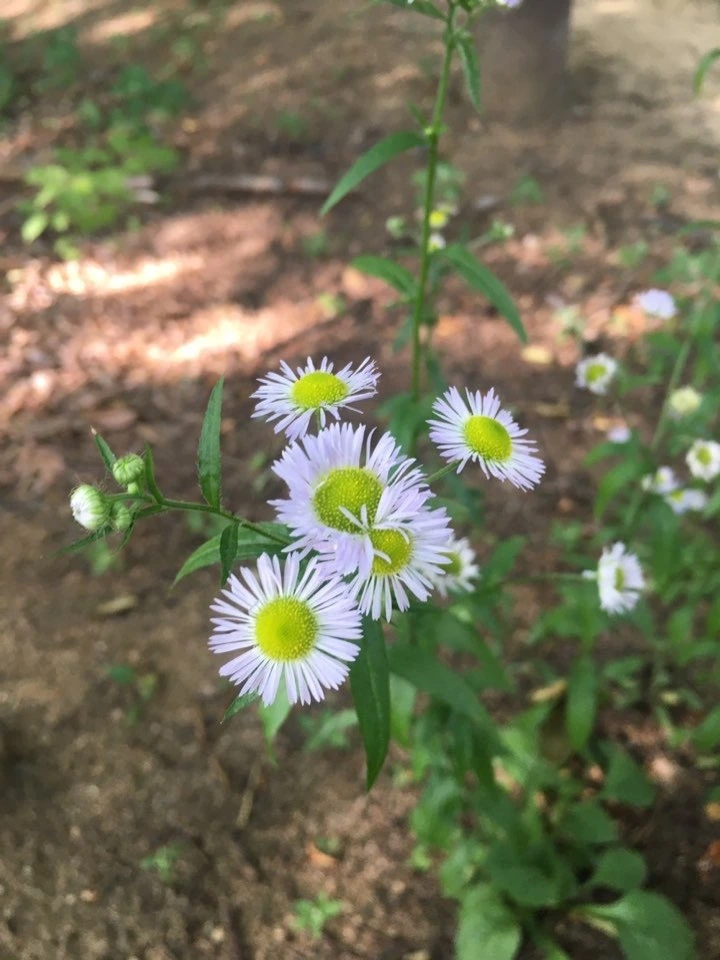 기억의 조각들.jpeg