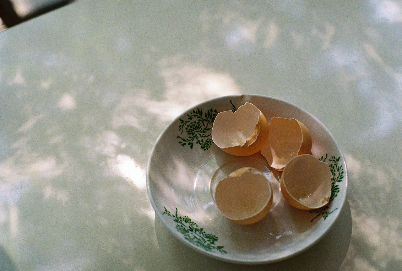 KODAK GC400 (39).JPEG