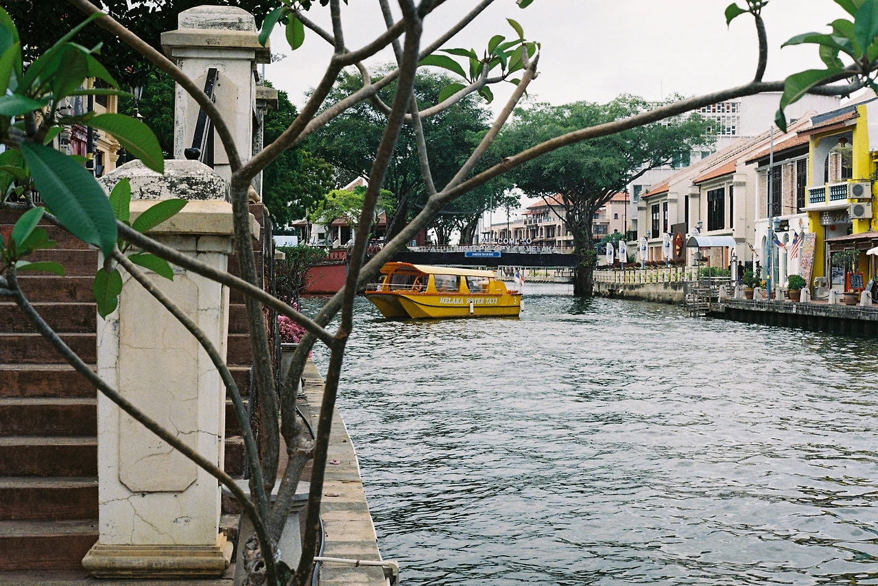 KODAK GC400 (28).JPEG