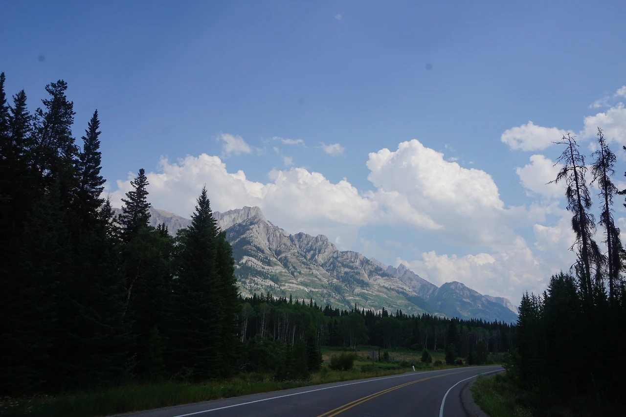 DSC07074 - 복사본.JPG