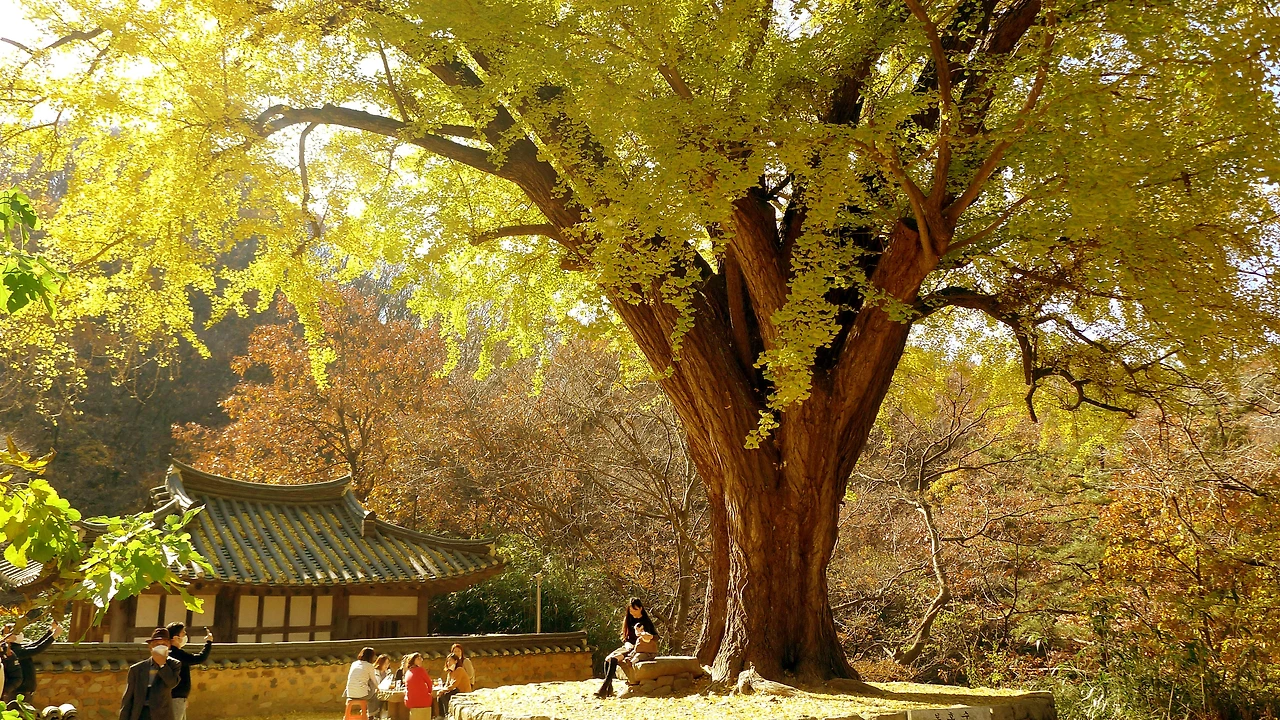 2.운곡서원 2.JPG