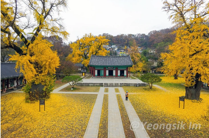 2024-07-25 10;28;35.PNG