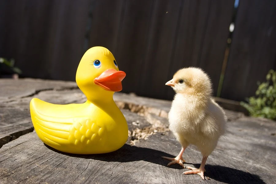 Nnuweb9s4QwoG_4J2cZ2yX6oU5rH8Fpyr48Vr77t1W_OSIWTr4O-bdL7ngrlFGx0pke-4vVYjoJ52dnBYh4zvCO1JqTZvTv83srq3DYYr2A7TTq0_Br3TcBxp_ep9ADh9m9iU7Cs