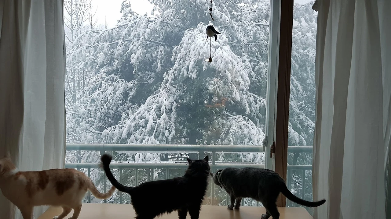 eDvu4wQY06zl2y5JBpYTpzocxz9KLlwaG-29yOjPxCKEh1Xti2IkMzV3Jjt5XM_ScvkJTbAKxxiWZ_flevswAepINm0PKmYV5wMUbRj2utRph6ZYfkz2SLNK8nMp9LA6-JEOiMhF2V76_80HTt5D24emnNesLQPv168oJLlkmUq60uNgzebwwCroYg6AXLyDK2KWCpjQfs09us8gkJfSmvolVe-89aBYQ7Mla-BU1KlMDuTqFKQMGDiYh4SBigJ84SkobP1R7ZSylkvgH9riYfKw6WPBocxUgv4nELiUC0T1XVB_ygJHmbOIsAuyV9_td5AD4kp4iTT_Iw8e1JcjCZnC_sGSDpmlsUzvQftDqeFRKQRop-KOQTOnVTAu-WjZshHkmDd8TBlTZdoDdQ1inkUBbMu5tqpxiwDCHGwzc6VcYCXfBY_fL5GEP6E0Jyy0VGhhQMTQe-5xenmNQKQpEKKzS8u1qEYfDPF6tIqv6_JR8_sYLdEPBfbQ9-237pKVDEUTGuU4MRz2D8oU-I3eKIj2HFHJ0j4VibhssZoujecAF4mqOVhC-sEgXeACB897fN7LMBj1wHo9BogZyjU_icX3vnvvHNL1P39VMIRYSc7B4IApCW61x9DeC9i50YHzRe8PjTUe3nRNSj555z6Gi0uWSqoXZ9XoBXv1qSpxnTiu05p8j2tGcsk_X0Cy7g=w1599-h899-no?authuser=0