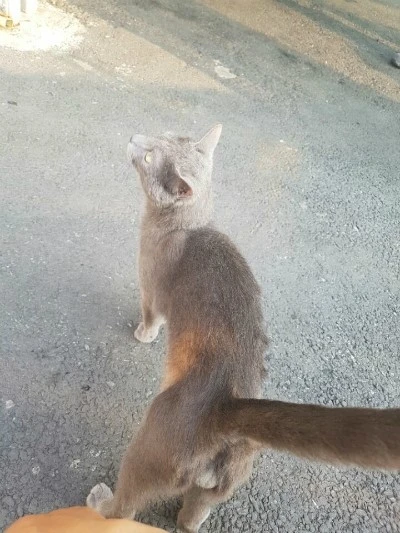 IMG_3268.JPG?type=w740