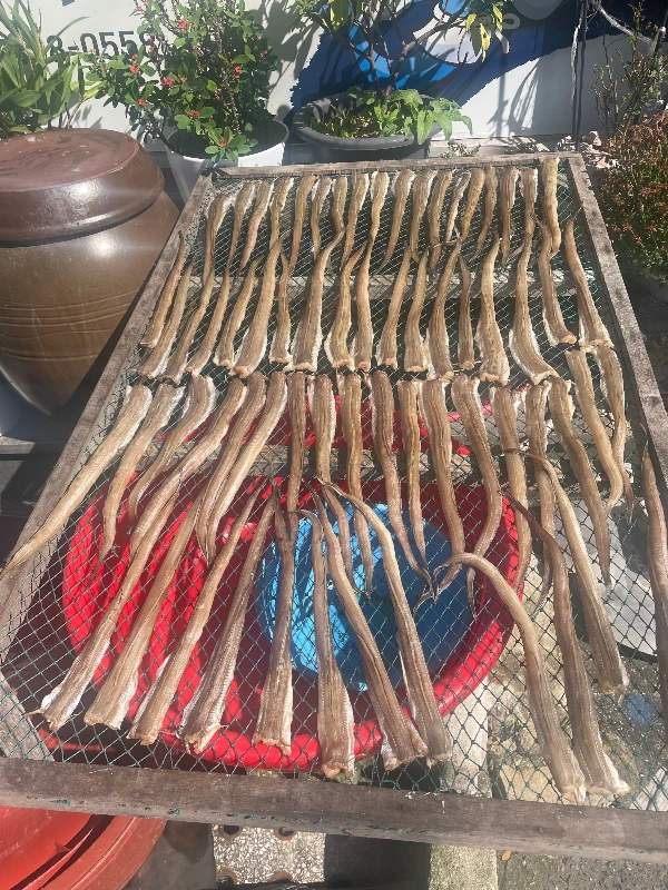 KakaoTalk_Photo_2025-12-04-22-41-54 004.jpeg