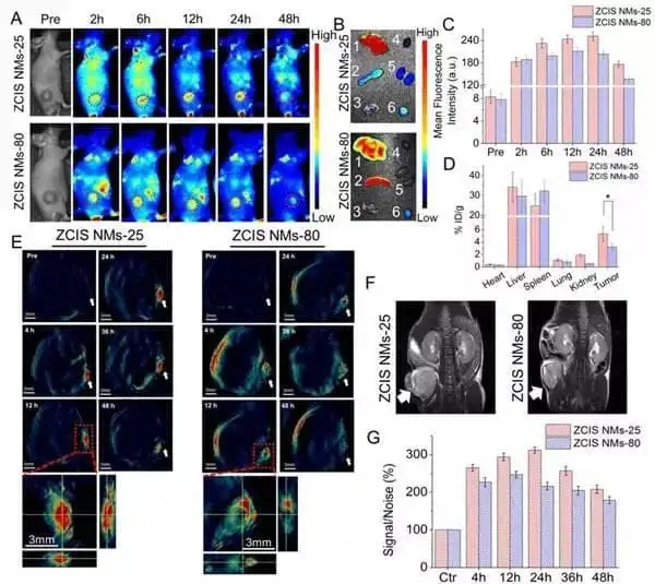 scientific visualization.jpeg