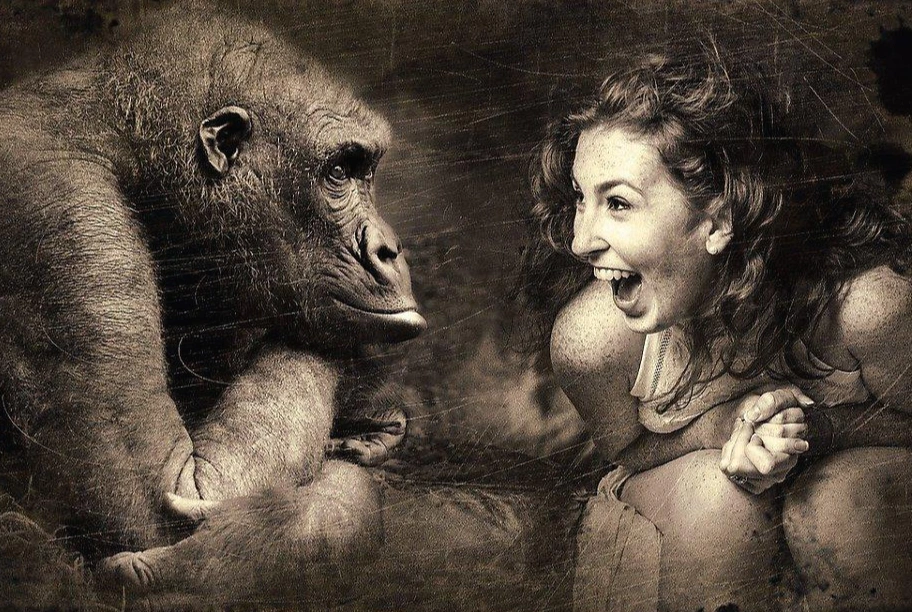 54e9d7464b55a514f6da8c7dda79337c143adbe1534c704f75287edd974dcc5b_1280.jpg?type=w1200