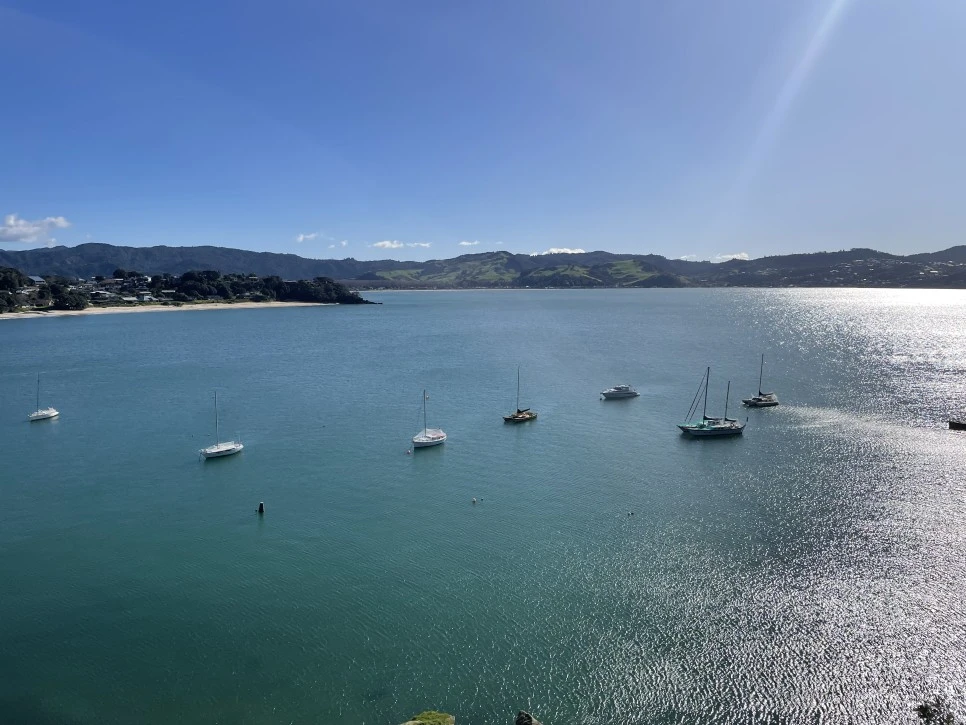 IMG_8684.jpeg?type=w966