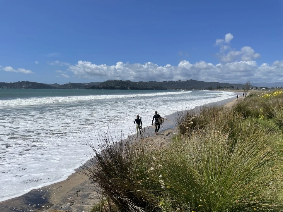 IMG_4447.jpeg?type=w966