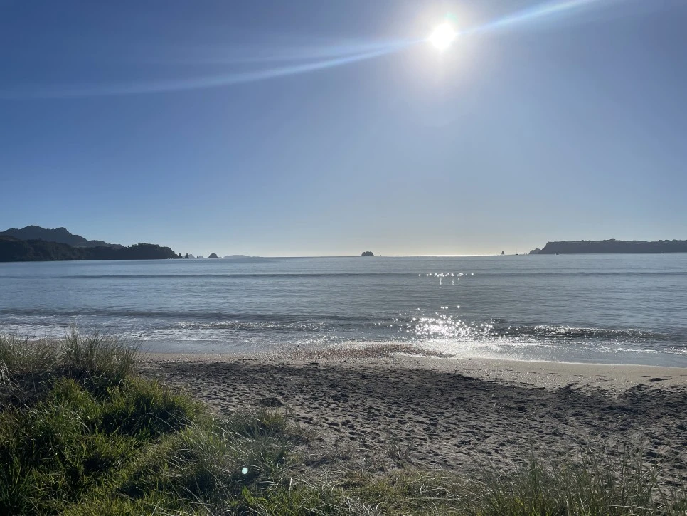 IMG_2588.jpeg?type=w966