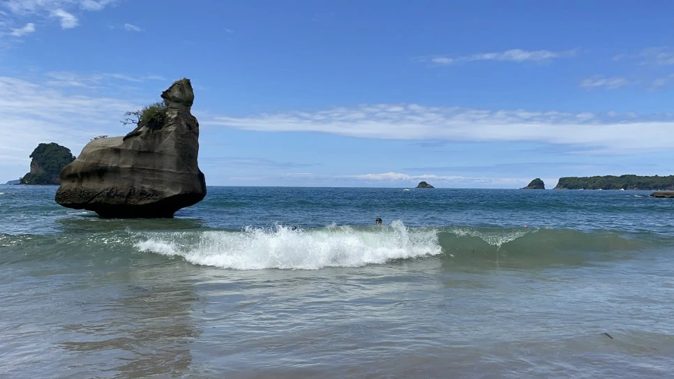 IMG_1739.jpeg?type=w966