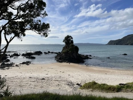 IMG_5659.JPG?type=w466