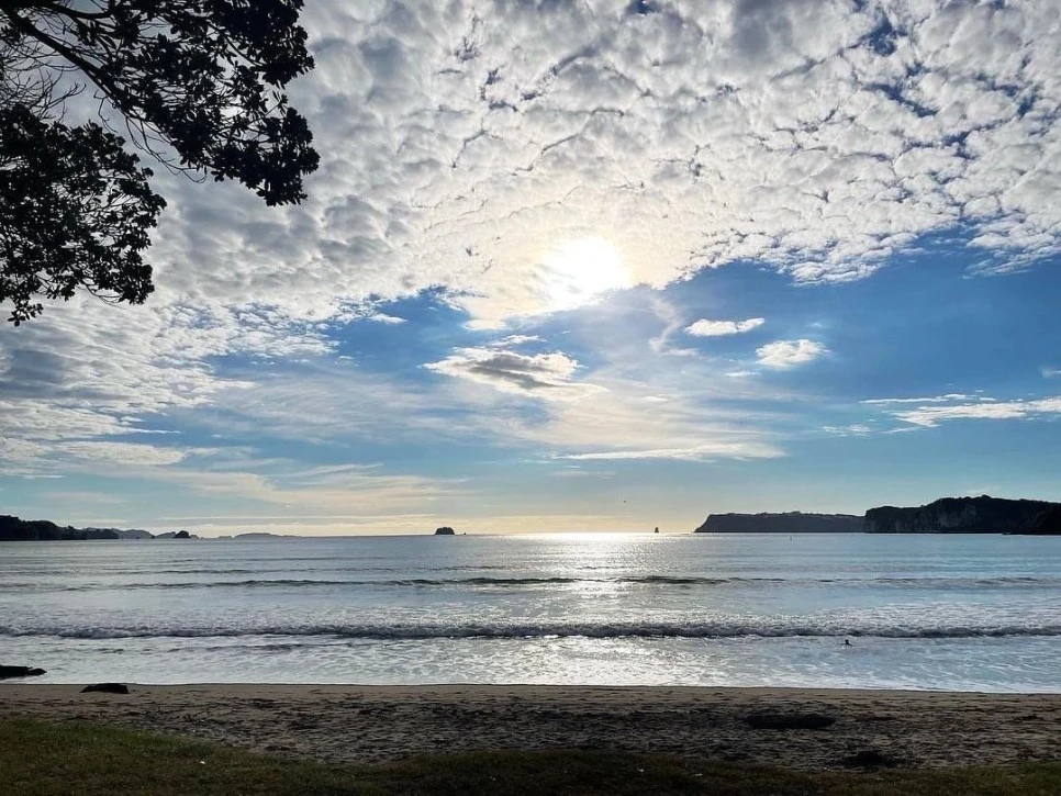 IMG_6424.jpeg?type=w966