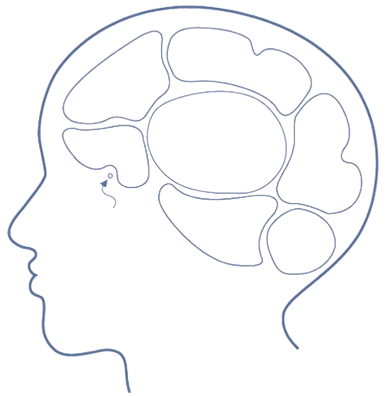 %EB%B0%B0%EA%B2%BD%ED%88%AC%EB%AA%85_%EB%87%8C%EA%B5%AC%EC%A1%B0.png?type=w773