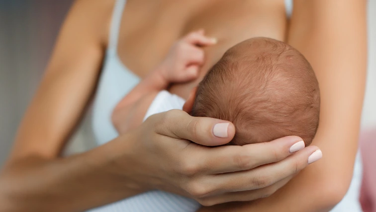 Website_Blog_Images_Sizing_Template_5_c25afa5c-7d2f-4cd1-976d-a122a01855db_800x500.png?v=1650475772