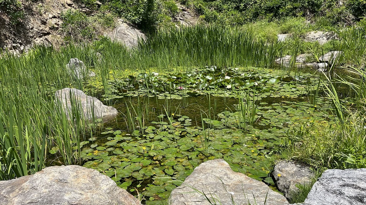 uq2KE0hRTRG3eGAxdnUkaXRhy53JzO9CZIXn3F9DoxZeF6niP8LxJNS7WoJM7_iLev7aqyfHiUMgT3WjPQeTnjzJMP_tAwa7dj0_CHdYFrgLdD0yl0Qn3o23eH3xBX5b0Mop4xf0B7kRHeYDM5AYtGz07hz6mkWmcaRCAMeE6GK7eWBukgpKw-pPCgqcFw