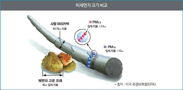 mosaDk5qhM.jpeg?type=w720