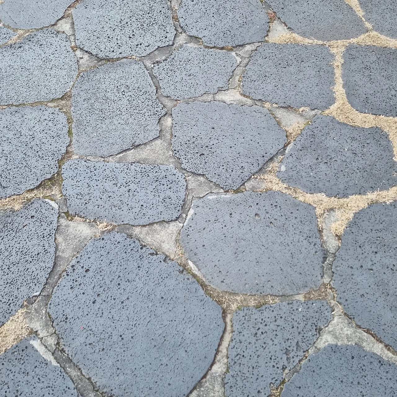 v6jyYAoh5FMN_mcG4j0CVCYu5MEq1YZhcv5jcQGWuZc6zv3M7QJ86COUFnrqzX4qEtcg5WZGilAZ2wHNjvtuufOt3s3g7EAT1CtfC6c5D60XErUJNqFq_Zev35_awPwuKV2rpHbu2ubLYdKmKEYRmTBCZ8F1Skrn7MktZPzGlOxmGKxJe3kLUrtIVyeiZg