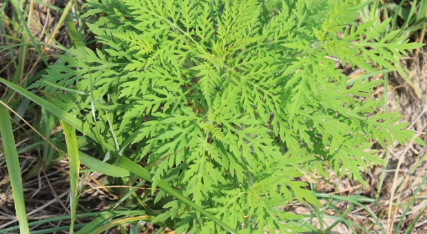 UGlmDaIeKNdJfPhYML5omT3Oe293_lUeqE4aWa5vu2CIGNd8jvzkZjGebAefRelhuaE8qLiN79NeK7i70HAW5QK30JQgTKNH4KI2EWN0OzOQTiKsj9hLX21lLPcf6Awqo6cdwRiQ1uiBhEFKbyMA2nZEk7ptmm-56nXfrqfOP0EnhZOOVxfXu7NouQ