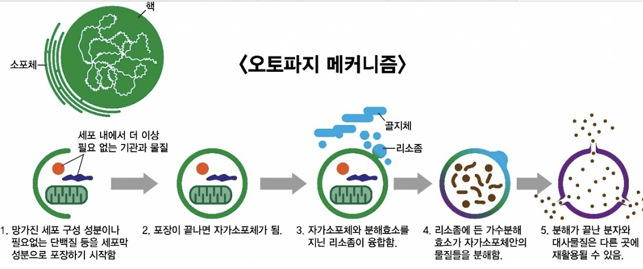 OQ9WrfOkvCdOdixAtqJzGVQyNsy78zaHO2lBPYl7U2hu6BFKPfbEgDia36iI3Ncky8WbQ470PUtVQ-5c1VvL36NY6LhDQBOZqnPF_y9YUJrECi4M2GfOhUYIeA5bV88nUToXDdOgZEPhN3nTxbhqDEW-YhrCSPTTfzhW9axRRBveYGiozfHkVsWwew