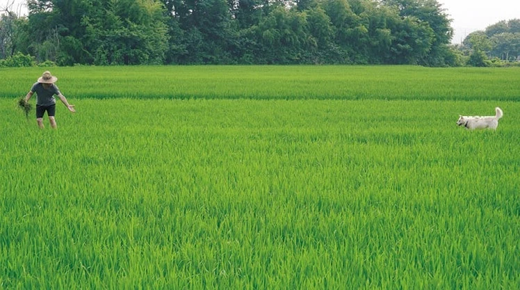 zHsvulc5LHro6dWqNAQhEAlXuyB0F3gJGYEILZnxS8zCDb7Q1orbQhnG29cJ3m4uTMIdJJulaKX5wctkwwqZgfvpWXTaO9cjixYv8JIq6KhQGijZVP8lus-7kay4KeeyCaix2SQ