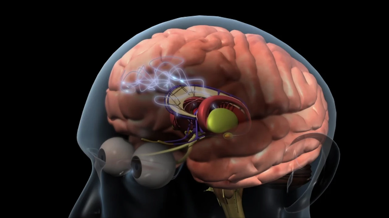 zSYcWCEfvA8NFro8kychEtpMfO162gNMIueP3DPb_lL-YV-RIQAlvLafhv3IC1izDay7i2HNWtRq6TV9BN8KOXKuXzKwB-Pl6S6_lPTee9Kft81UXKUZPavdbHomHuzI2dlvqrI