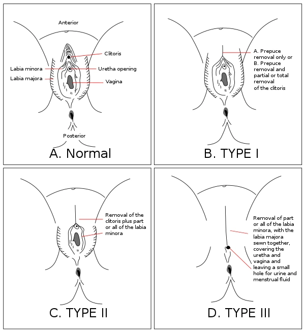 mO03_GT8w3zOV72FmiNwHaFfbrU5shlrTmj4TC4zbC_M8hEBCpTONArufW-W8kckXz3Eykl9sjOqEYC40wzImhcTP7qCmcv72_TerjU4yWxRUr7aCwoNiiEKw6PljghKZElueOTkIjfZNq-fsw