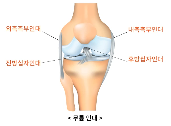 Kh1uQ_OUdFFvLiXU25sH9F2vq6nY08lAH2ixIG-LR0JvH5wQPHs3Hw0Jn7s26QFmUGZyCIzAy-XCeQ-R-0bZV5C7v22hoN-mHhKPOBElDq7ZcdhzNxCdkmfoMVRhXYxLgRCnJFWh4NAlEuRrSRL7aTk