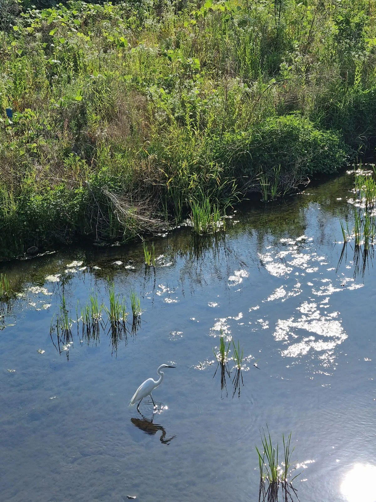 WGQakfrLoA1aKA8G04_b-zMmQLzrZLiFoYbk93XMZRGi-bV_PheWLA_h5Tl_NKow9f0rzkDNhQ8K8GitWgAFkKC_2f-ZvEu5BvH-2-iVPMSR2Lve5Nmg5wyKUmVk9teYZ-mBK0msIYm0T28X_1Pa_w