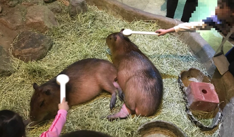 Ak3_N-iHYeE1ab56MhkT9gR1GmlcPVzTtFbdwEhRjrGzWoHQFQMfsjN47ZiUgSpMDEHOhLtId69zZ3pyjT2rZlB_B_z95FDd6sKK4GGlhEP6GTUUZvYamYFx2690wX_R8AE6IoE