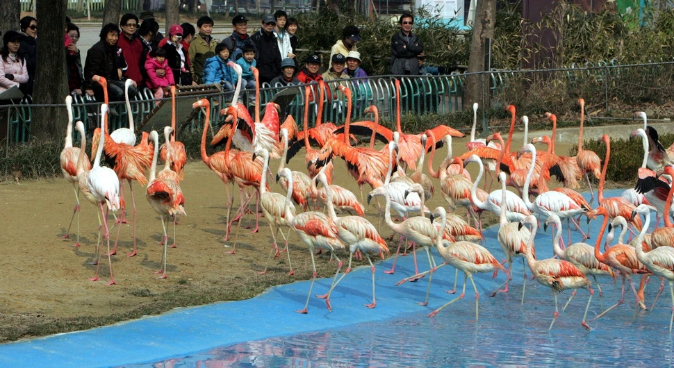 PBFq5UPh17w96-pfoEHYdtPnat8gFFiye_LekcNk_rwcdFjMHd4Lir-O2uwhTCVPISyUzAK3N5UcYxk2YlWhcQmb_ezaRjjntdUIzcoW1EqKjkzDa1Lsb2NIb43gixm8T3W5g7k