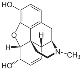 dM8jKKAxHPSDigZGVBYe9q6b6sJ8WuCcjZ48Y8jRLQN5LR_6iXA3mBWOGoD2Nv25KXUcUw3sRxX-2Bc2DgqN1gaZLNmMqgTC1CsU-4hWtv7diczj8qU8KKQ2AMJbTgmkYUg5YlqTBJkjTAAPAWtM-9VEcUZFD9tg9IxR5nePhJonoE5B1j1jqifZcbVhtg