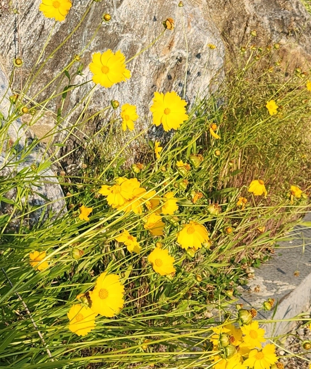 AD_4nXf2aSrhxNHEEqx-SDtUF04GWH7ErjI7j1s3ZrdYXHG6rnYcpwJM-LK4tNx715VwHtC2F8M7Y301Zwp5MZXrC7lfm5QwY6kCv7H7Bs4NE9k-QSwNjxJfRkO56C6zWkVZxBILIxpVjMb1q1CZOo78wl7RgHVX?key=JVHzNwy_jhkTX4324sidhA