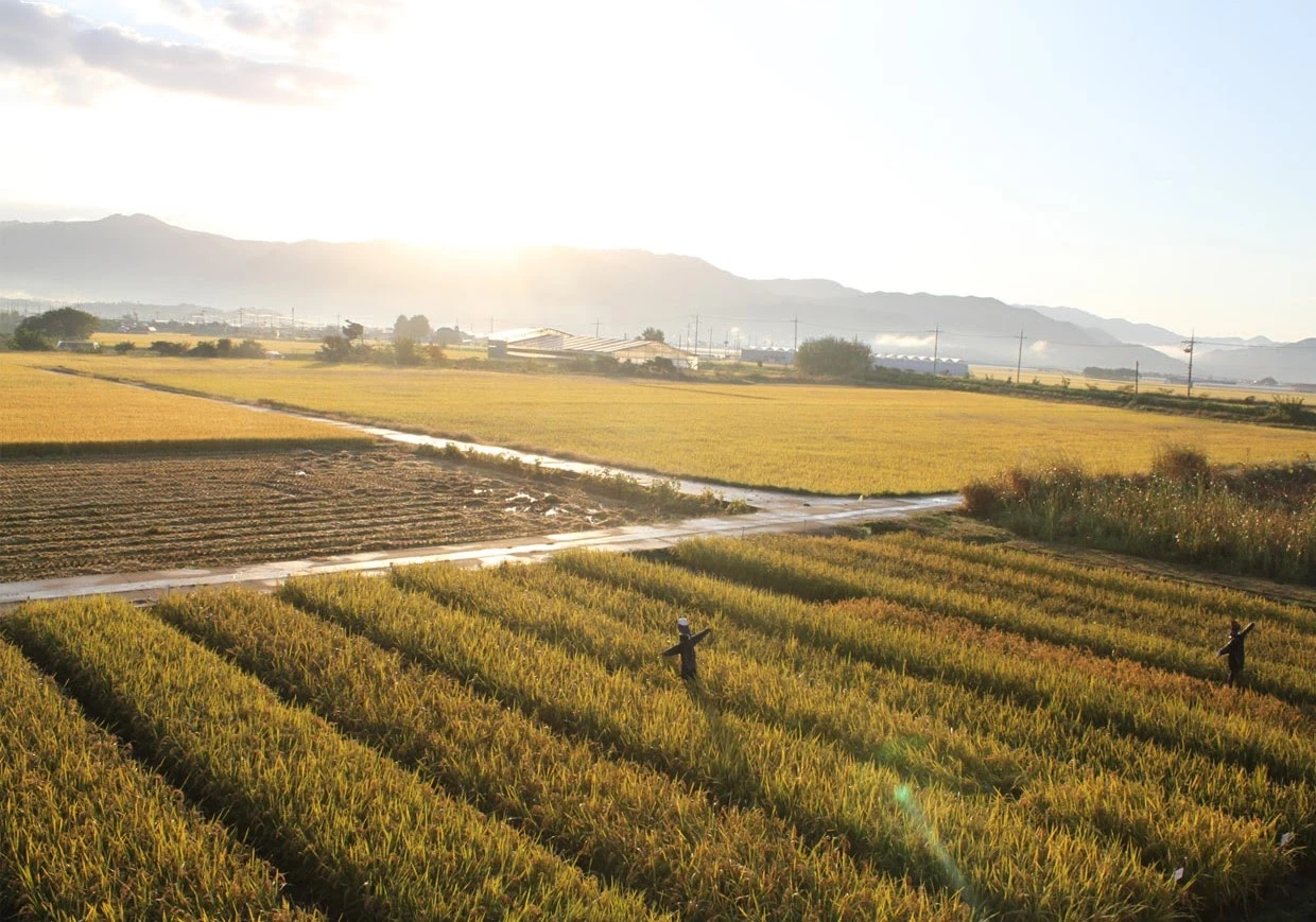 JOLmTLPc1iNEa28HhG3V4-lrcr6FP4MBfQN37MdDmJdWxG-4sQhIRgQ1bByH_tT3HH4TY5b_Dj0IMko7sAa-GEymn_SqmWwT6zV5nNlzuFCIxydgHpxp_AnuZNT4hCNmKhPwyZI