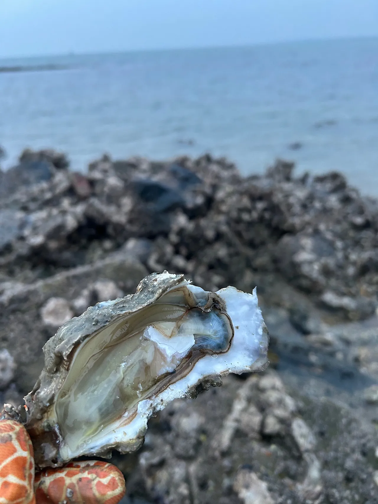 IMG_2008.jpg?type=w1600