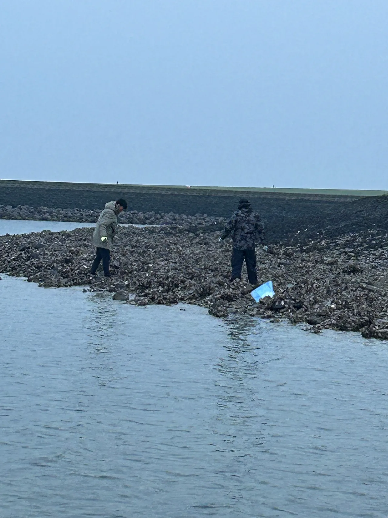 IMG_2005.jpg?type=w1600