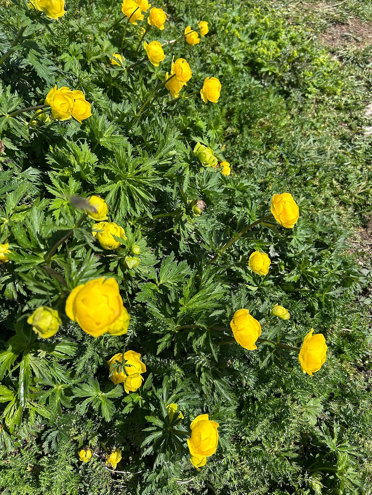 IMG%EF%BC%BF6061.jpg?type=w1600