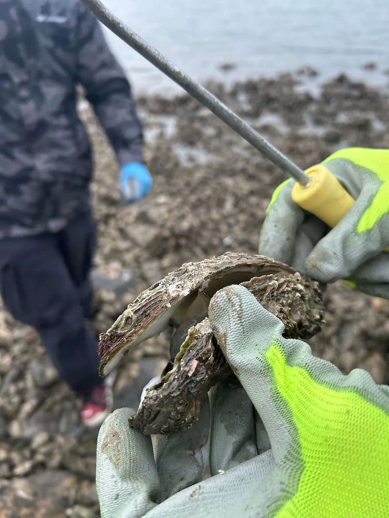 IMG_1993.jpg?type=w1600