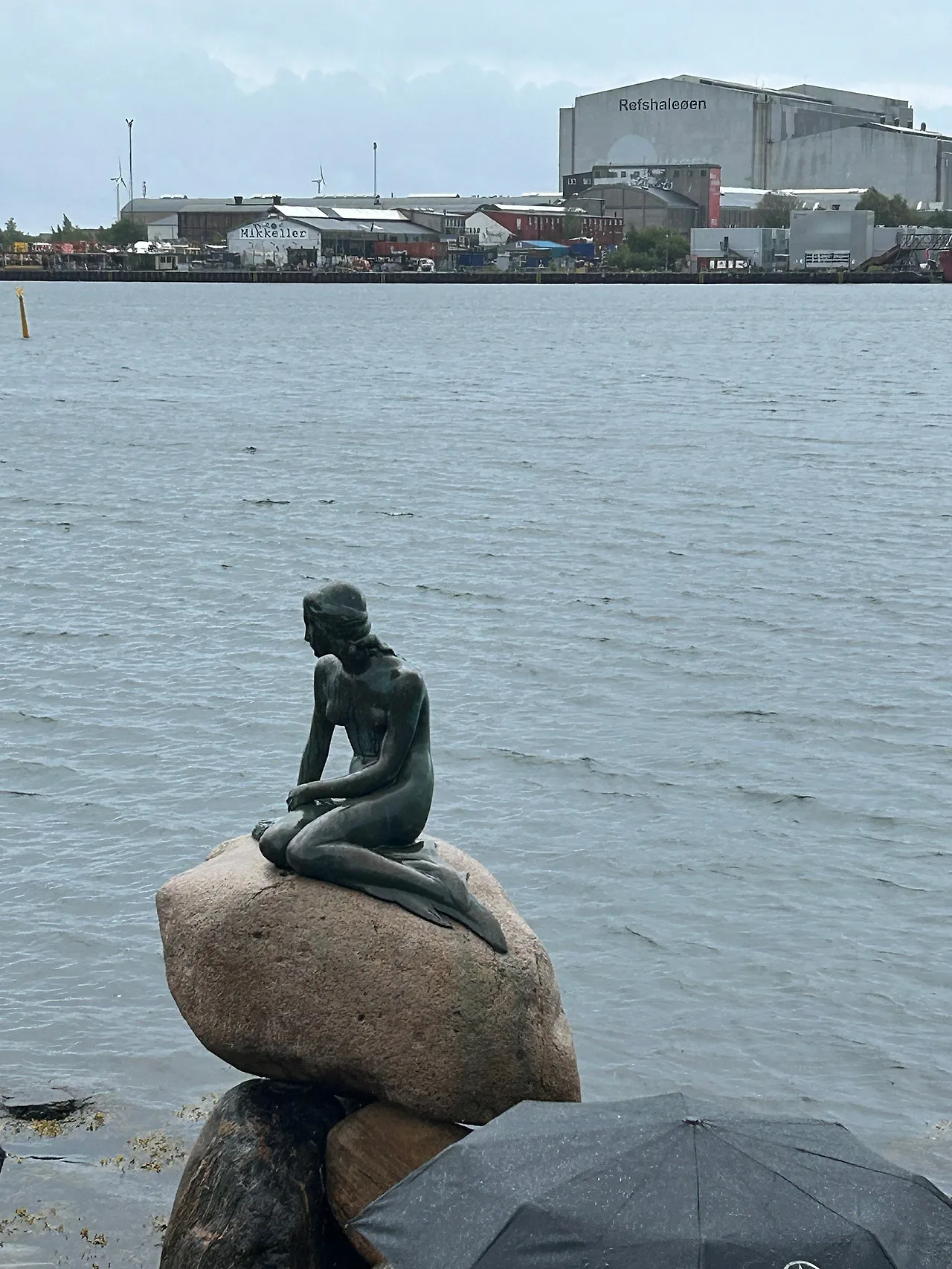 IMG%EF%BC%BF8158.jpg?type=w1600